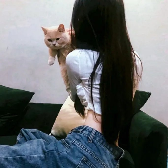 百合的雨声